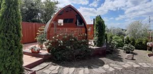 Jardin Extérieur Sauna En Bois Igloo Design (4)